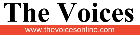 voice-logo2_small